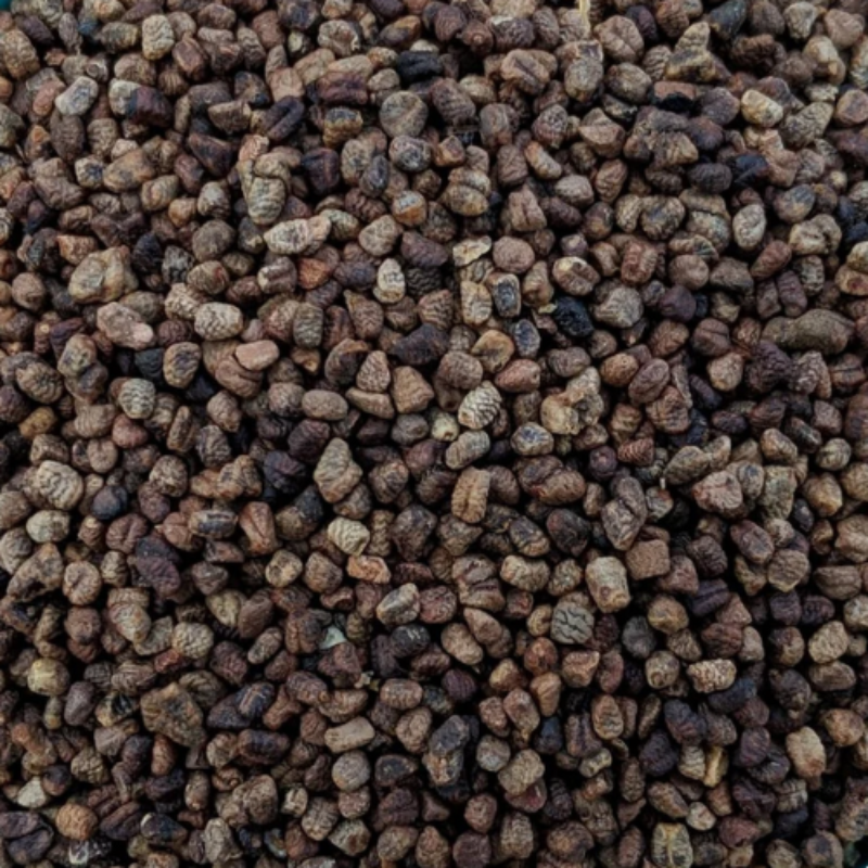 Graines de Cardamome verte du Guatemala